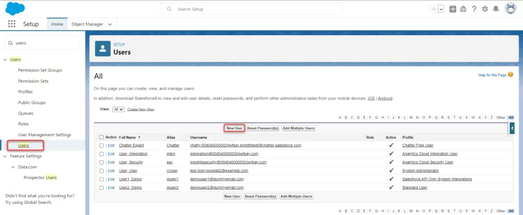 add users in salesforce